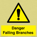 danger-falling-branches~